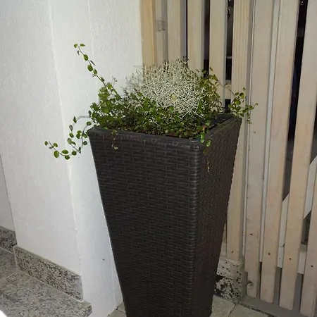 アパート Alexandra *