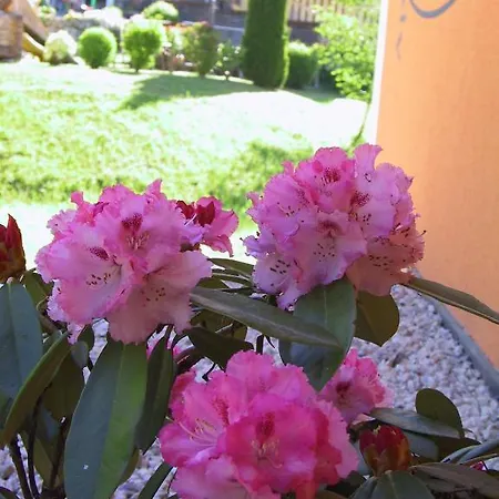 アパート Alexandra