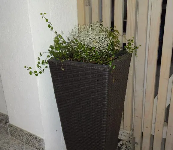 Apartamento Alexandra *